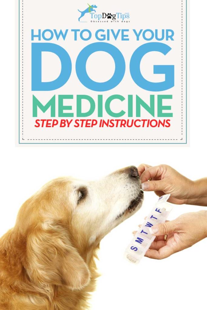 Klem Verbinding handicap Hoe geef je een hond medicijnen? - Stichting Signaal Hond: Alles over honden