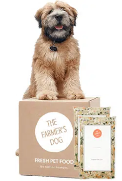 Hond met een doos van The Farmer's Dog
