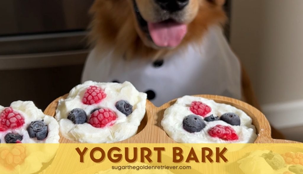 hondvriendelijke yoghurtschors